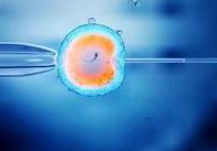 详细解读康定市做长方案试管婴儿费用，长方案和短方案成功率有差别吗？